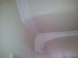 fkillineybeforeinternal 1690.jpg